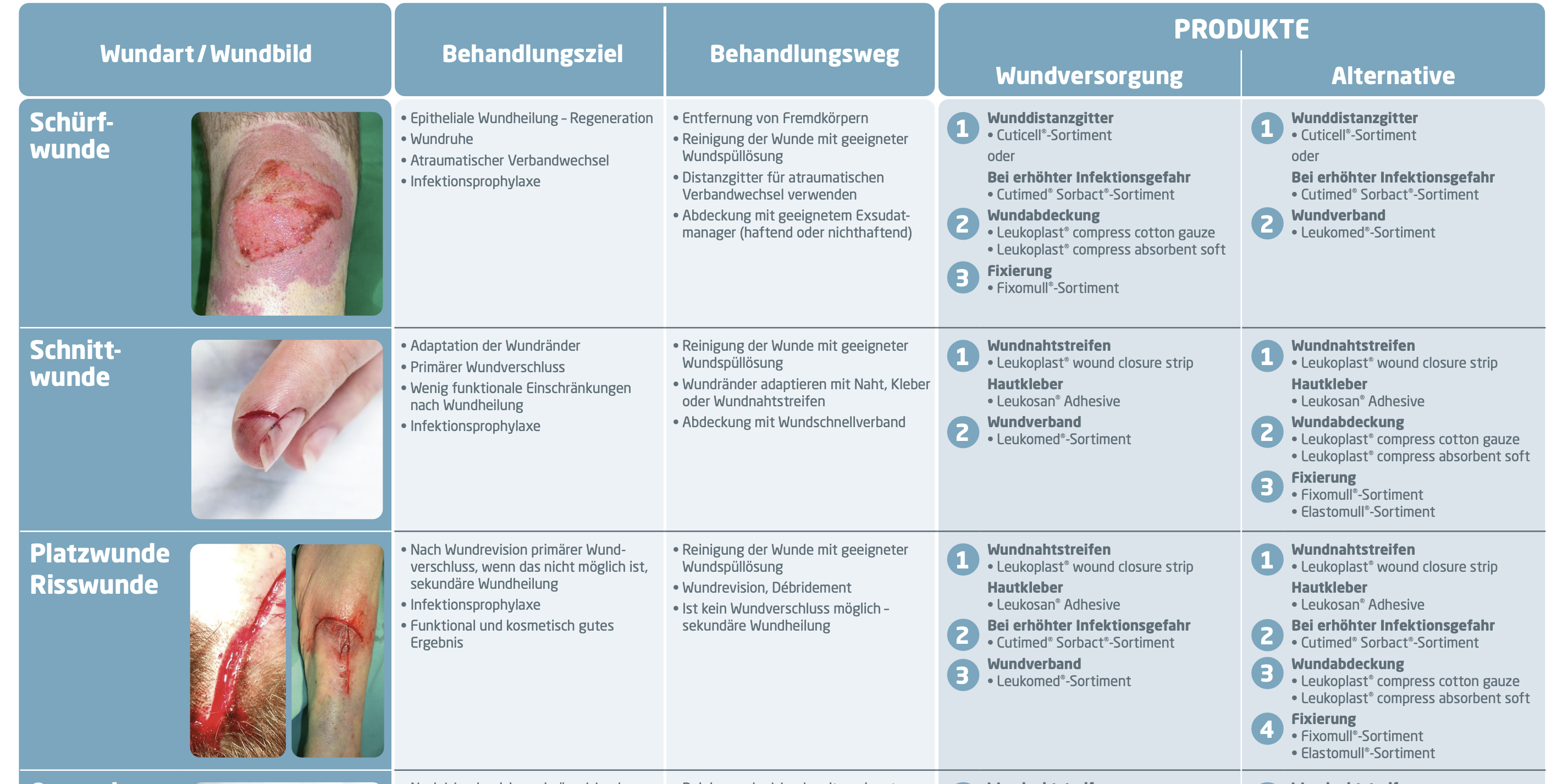 Abbildung Poster Therapieleitfaden Akute Wundversorgung für die Praxis Abbildung Poster Therapieleitfaden Akute Wundversorgung für die Praxis
